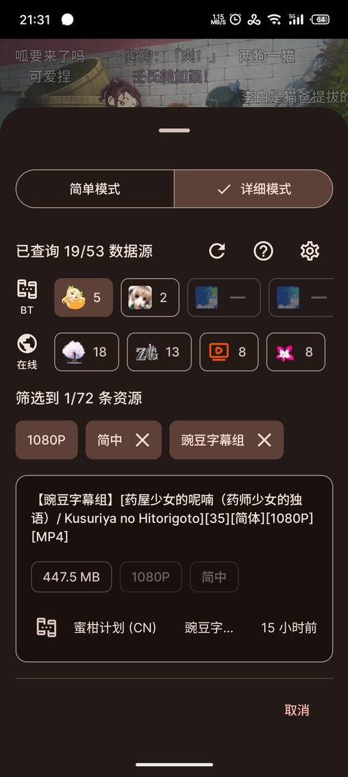 数据源详情（手机端）